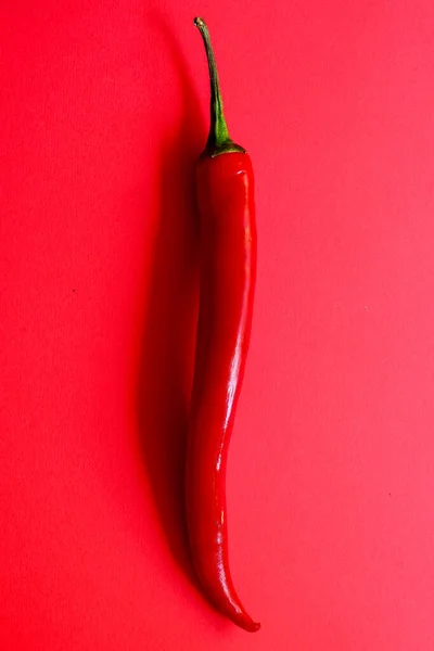 Pimiento Rojo Único Sobre Fondo Rojo Concepto Minimalismo Creativo Con —  Fotos de Stock