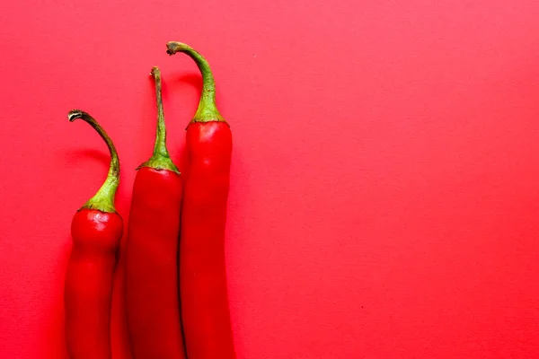 Drei Rote Chilischoten Auf Rotem Hintergrund Kreatives Minimalismus Konzept Mit — Stockfoto