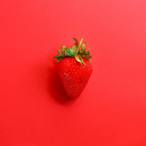 Single Red Strawberry Red Background Creative Minimalism Concept Copy Space — Stock Photo, Image
