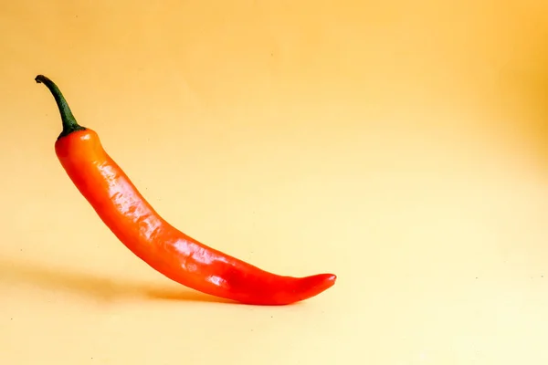 Single Chili Pepper Auf Gelbem Hintergrund Kreatives Minimalismus Konzept Mit — Stockfoto