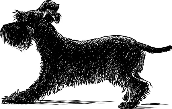 ジャイアント シュナウザー犬シルエットストックベクター ロイヤリティフリージャイアント シュナウザー犬シルエットイラスト Depositphotos ジャイアント シュナウザー犬シルエットストックベクター ロイヤリティフリージャイアント シュナウザー犬シルエットイラスト Depositphotos