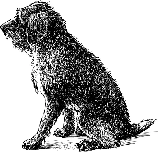 Perro peludo sentado — Archivo Imágenes Vectoriales