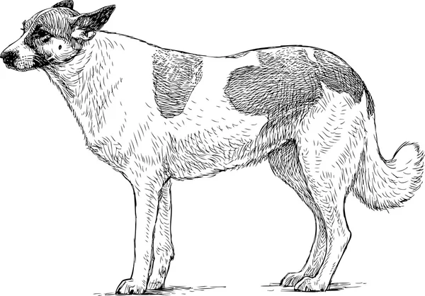 Croquis d'un chien de garde — Image vectorielle