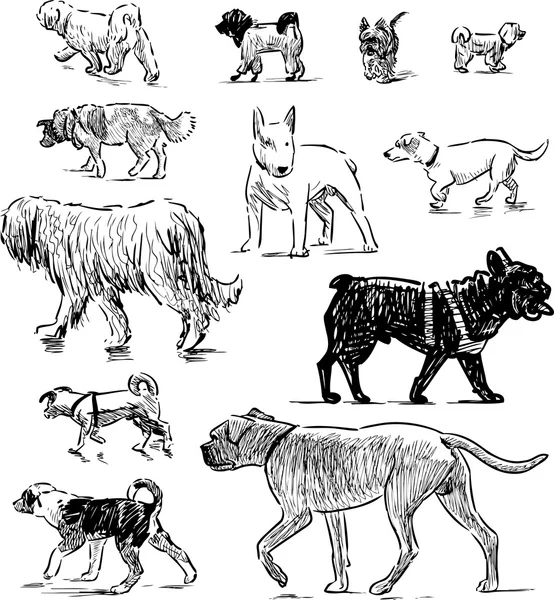 Croquis de différents chiens — Image vectorielle