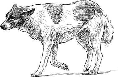 yürüyen bir köpek taslağını