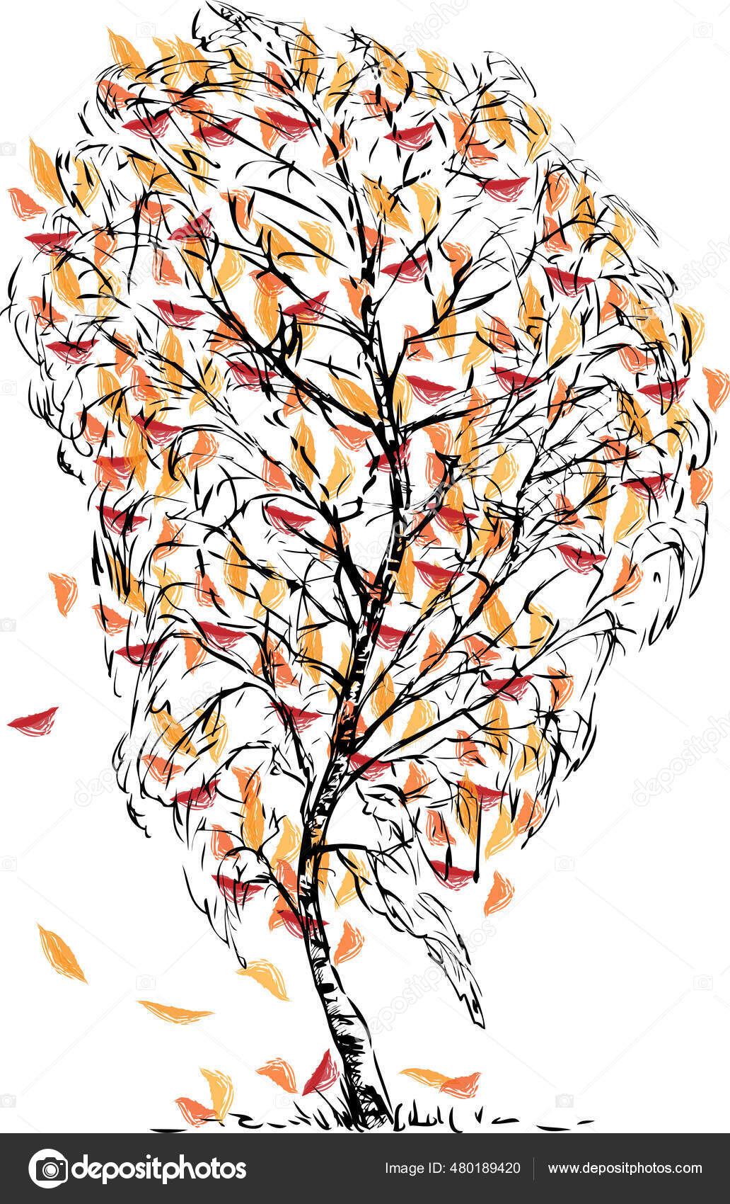 Set of elements for the autumn season. Black contour drawings of various  leaves. Use for fall design and decoration. Vector. All elements are  isolated Stock Vector Image & Art - Alamy