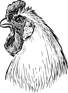 Çiftliğin beyaz sikinin serbest çizimi