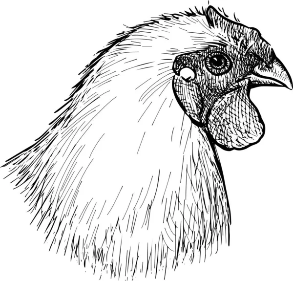 Beyaz tavuk çiftliğinin serbest çizimi.