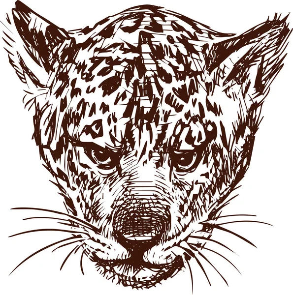 Vrijstaande Tekening Van Het Hoofd Van Wilde Jaguar Welp — Stockvector