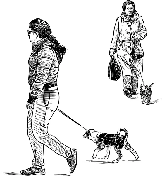 Femmes avec les chiens — Image vectorielle