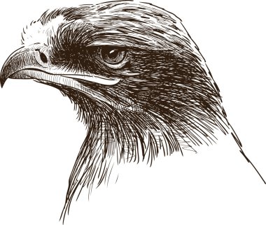 Kartal Kafa