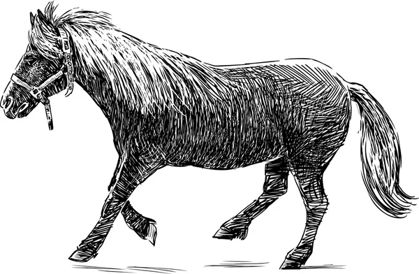 Running pony — Stock Vector