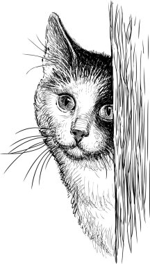 Peeping cat clipart