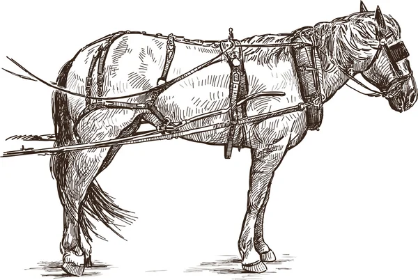 Harnais cheval — Image vectorielle
