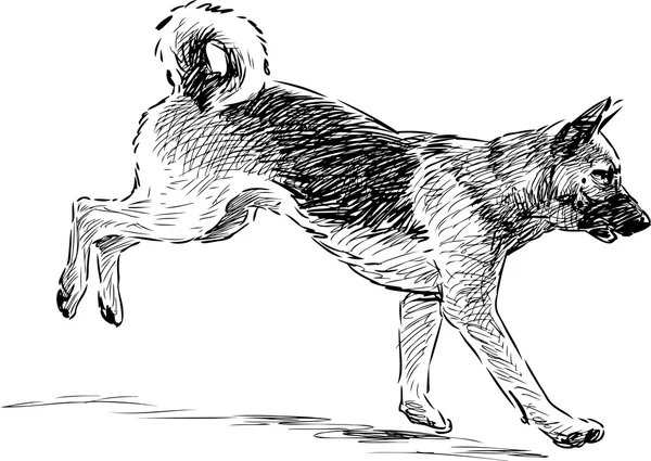 German shepherd sketch — Διανυσματικό Αρχείο