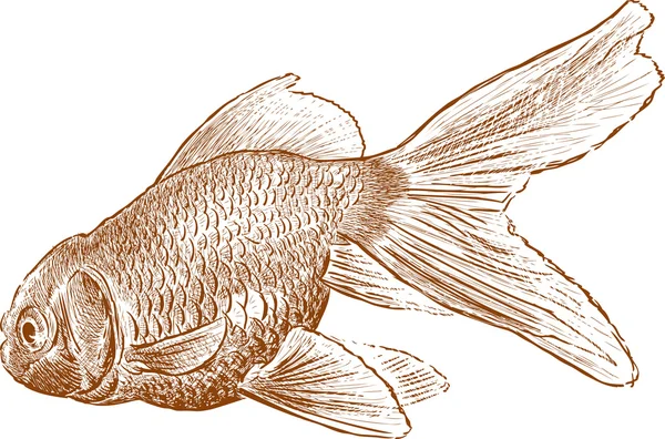 Акваріумні риби — стоковий вектор