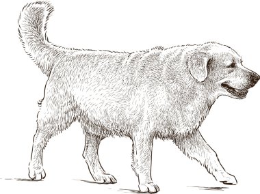 bir yolda geri almak