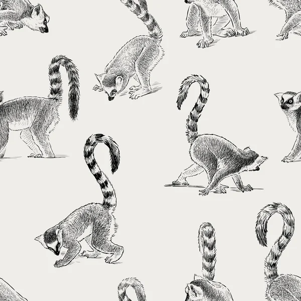 Mönster av lemurer — Stock vektor