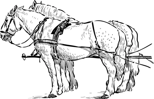 Chevaux dans le harnais — Image vectorielle