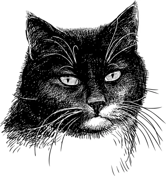 Retrato de un gato negro — Vector de stock