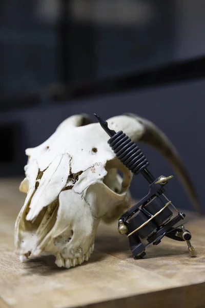 Close up of tattoo gun resting on goat skull in tattoo studio. Space for text.