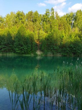 Yeşil bir ormanda güzel bir turkuaz nehir akar. Ağaçların temiz su üzerindeki yansıması. Nehir kıyısından nehrin manzarası.