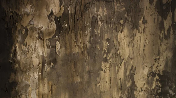 Eski, yıpranmış bir duvar. Koyu gri arka plan. Tekdüze olmayan doku.