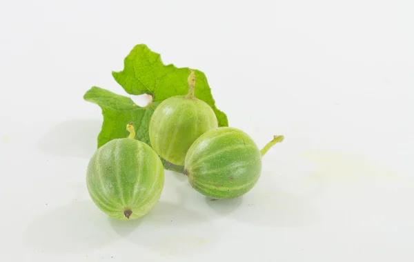 Small watermelon — 스톡 사진