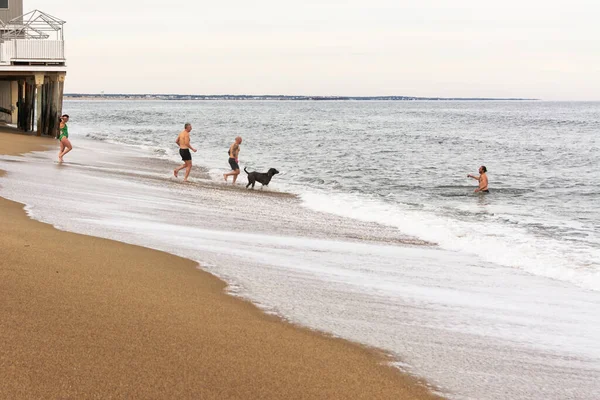 Salisbury Beach Massachusetts Tre Uomini Una Donna Cane Nuotano Nell — Foto Stock
