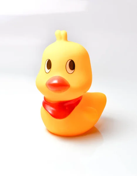 The lonely yellow duck with white background