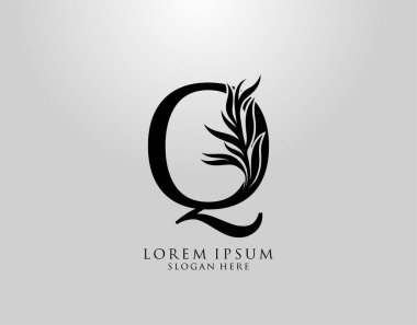 Q harfi logosu Doğa Logosu Bırakıyor, alfabetik yaprak simgesi.