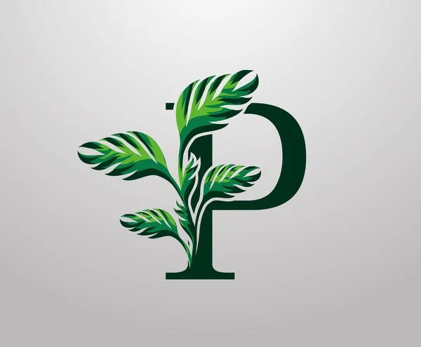 Letter Monstera Green Plant Icon Tropical Leaves Decorative Logo — Stok Vektör