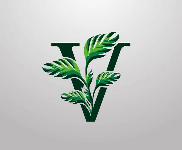 Letter Monstera Green Plant Icon Tropical Leaves Decorative Logo — Stock vektor