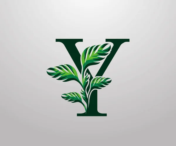 Letter Monstera Green Plant Icon Tropical Leaves Decorative Logo — Archivo Imágenes Vectoriales