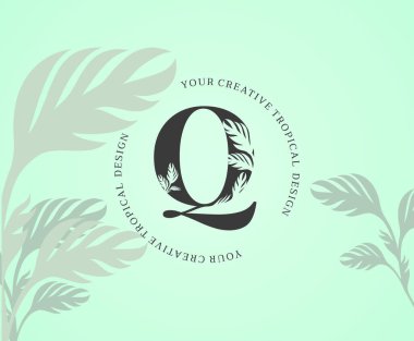 Exotic Letter Q Logo with Monstera Plant Leaf Texture Design Logo Icon. Creative Tropical Monstera Plant Alphabetical Nature Logo Template.