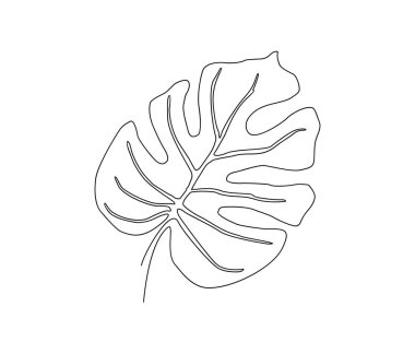 Devamlı canavar yaprağı çizimi. Bir çizim çizimi tasarımı.  