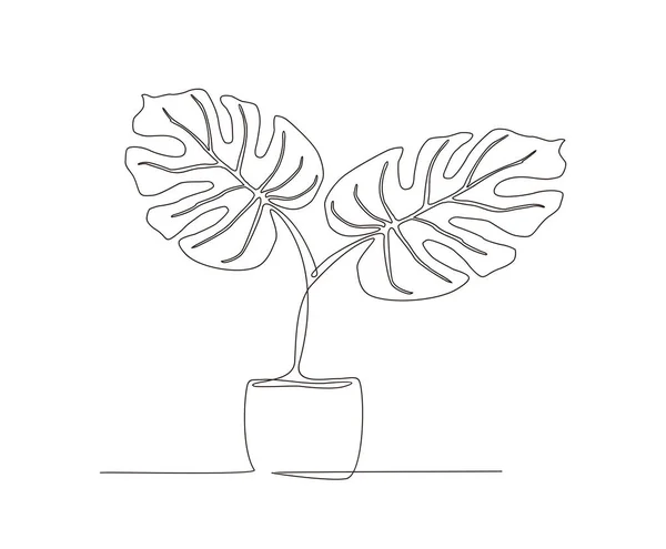 Continuous Line Drawing Monstera Leaf Pot Vector Illustration Tropical Leaves — Stock Vector