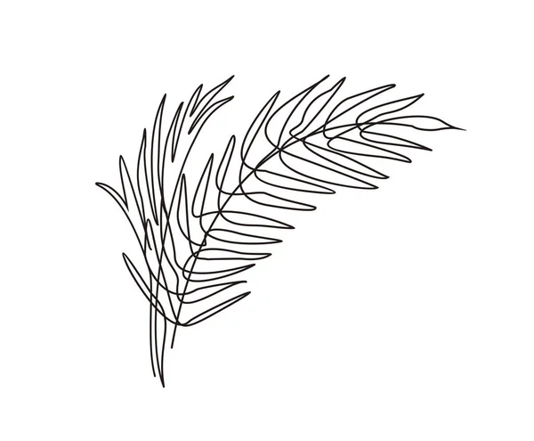 Desenho Linha Contínua Folhas Palmeira Design Vetor Arte Linha Minimalista — Vetor de Stock
