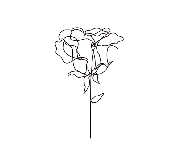 Sürekli Gül Çiçeği Çizimi Soyut Tek Gül Sanat Tasarımı — Stok Vektör
