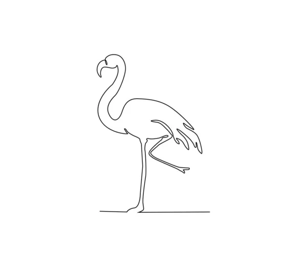 Pelican Continuous Line Art Drawing Style Minimalist Black Pelecanus Bird — Stock Vector