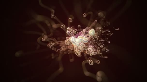 Бесшовный Цикл Абстрактной Анимации Движения Органических Клеток — стоковое видео