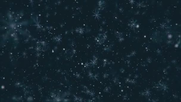 Queda Inverno Flocos Neve Natal Fundo Movimento Inverno — Vídeo de Stock