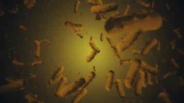 Virüs hücrelerinin mikroskobik görüntüsü - 4K, tıbbî hareket arkaplanı döngüsü.