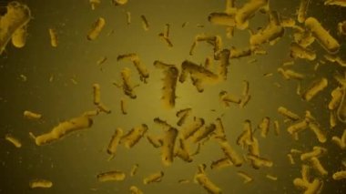 Etkilenmiş virüs hücrelerinin mikroskobik görüntüsü - 4K, döngüsel tıbbi hareket arkaplanı.