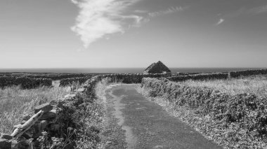 İrlanda 'nın Galway kıyısındaki Aran Adaları' nın en küçüğü olan Inisheer 'de terk edilmiş bir kulübeye giden sessiz bir kır yolunun siyah ve beyaz görüntüsü..