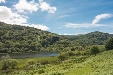 Glendalough, Co. Wicklow, İrlanda 'daki Lower Lake ve Woodland..