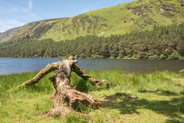 Glendalough 'daki Yukarı Göl, Co. Wicklow, İrlanda.