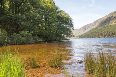 Glendalough 'daki Yukarı Göl, Co. Wicklow, İrlanda.