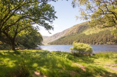 Glendalough 'daki Yukarı Göl, Co. Wicklow, İrlanda.