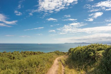 İrlanda, Dublin yakınlarındaki Howth Head yarımadasında yamaç yürüyüşü. Bray Head uzaktan görülebilir..